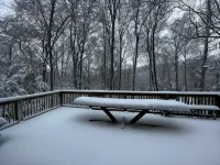 Abundant Acres Retreat 5 minutes from first chair on Beech Mountain, sleeps 9
