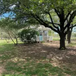 The Beulah Jane is a peaceful cabin on working farm in Glen Rose. - 3つ星