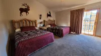 Bella Villa Familiar. Wifi. Close to Starved Rock Park Hiking Trails. Relaxing! - Homestays