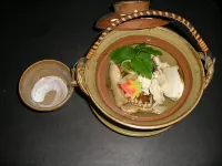信州上田 霊泉寺温泉 中屋旅館 - ペット同伴可
