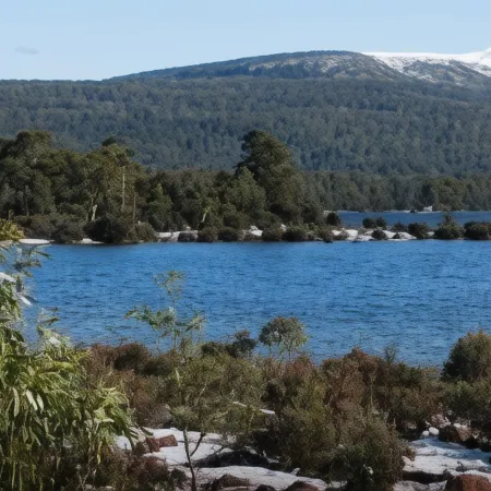 Derwent Bridge Chalets & Studios