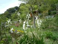 Villa Katsuyama Avail -  Ferienhäuser