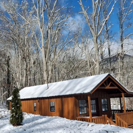Tiny Hideaway Cabin mins. from Downtown Bryson City and Deep Creek National Park