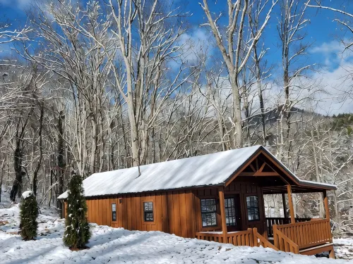 Tiny Hideaway Cabin mins. from Downtown Bryson City and Deep Creek National Park - Alphydda
