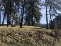Family-friendly cottage - close to BMS, Watauga Lake, Asheville, Johnson City - 3つ星