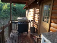 Altitude Adjustment cabin near Wolf Creek - pet friendly - シャレー
