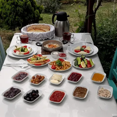 Ada KEKİĞİ PANSİYON