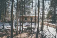Cozy cabin in charming Londonderry - Chalets