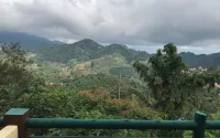 Maesalong Villa - Mountain view