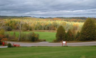 Our Valley View Bed & Breakfast