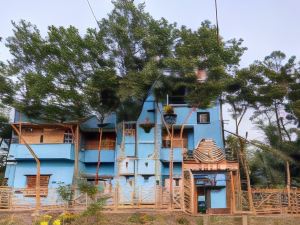 Sundarban Tulip Homestay, Pakhiralay, WB