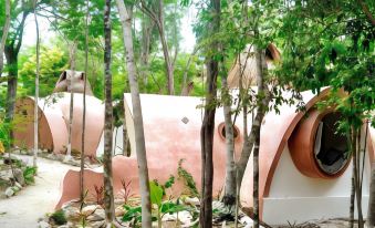 Room in Lodge - Eco-Luxe Mayan Dome + Cenote