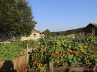 Maison de Vacances - les Hirondelles  호텔