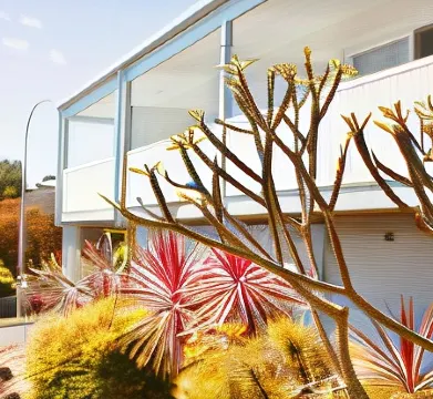 Mollymook Motel