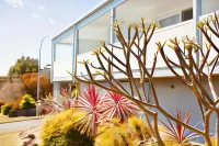 Mollymook Motel Hotel di Mollymook