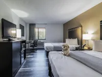 Econo Lodge Cleveland Southeast - Kent Hotels in Streetsboro