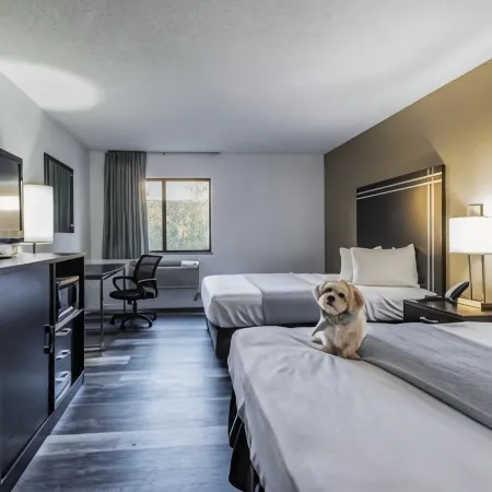 Econo Lodge Cleveland Southeast - Kent