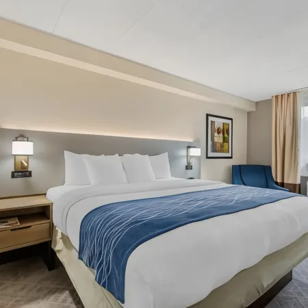 Comfort Inn Herndon-Reston