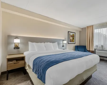 Comfort Inn Herndon-Reston Hotels in Herndon