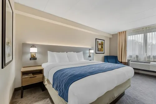Comfort Inn Herndon-Reston Hotels in Herndon