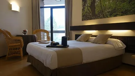 Hotel Baztan Отели в г. Igantzi