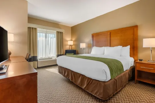 컴포트 인 & 스위트 플로렌스 센터 지역