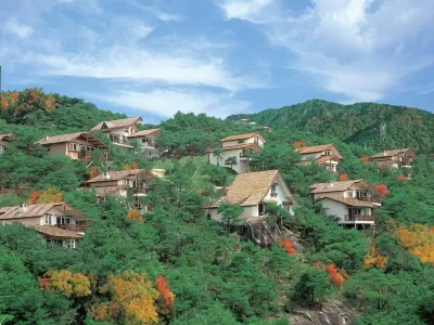 Club ES Jecheon Resort Hotels in 