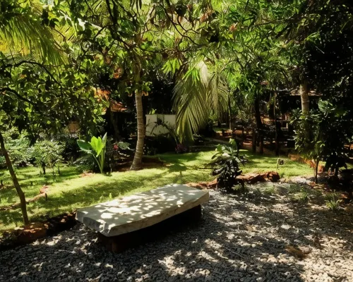 Namaste Yoga Farm Hotels in Gokarn