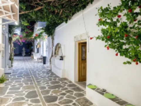 Pelican Paros Hotels in Paros