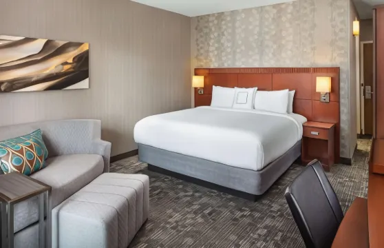 拉古納山歐文光譜索尼斯塔精選酒店