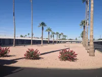 Starlite Motel