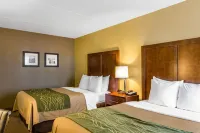 Comfort Inn Newport News-Williamsburg East