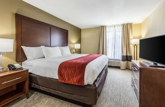 舒適套房酒店-近格林伍德大學