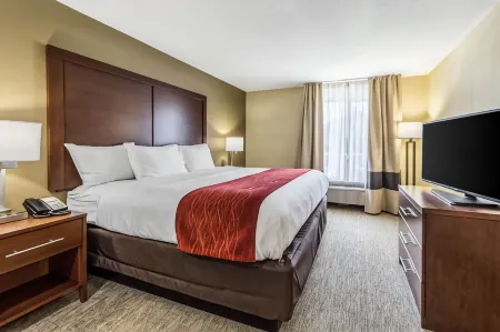 Comfort Inn & Suites Greenwood Near University