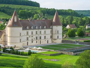 Hotel Golf Chateau de Chailly