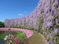 Hotel Wakasa Hotels in Ashikaga