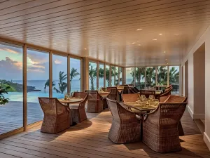 더 코브 일루서라