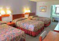 Regency Inn & Suites - Saint Augustine