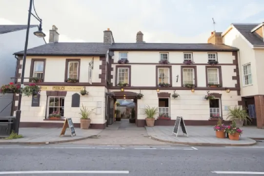 The Black Lion Royal Hotel Hotels in 