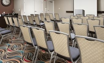 Hampton Inn & Suites Chicago Southland-Matteson