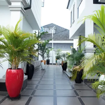 Bespoke Terraces