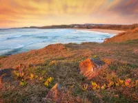 Emerald Beach Eucalyptus Cottage Hotels in Emerald Beach