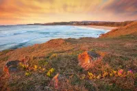 Emerald Beach Eucalyptus Cottage