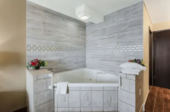 Econo Lodge Madison East