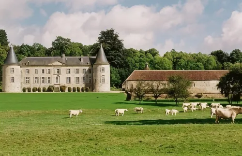 Château de Beaujeu - Chambres d'hôtes