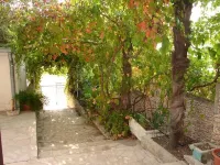 Apartments Goge Hotels in Gradac
