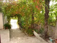 Apartments Goge