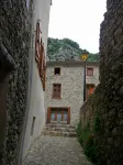 Chalet L'Oustal - pure nature! - Hytter