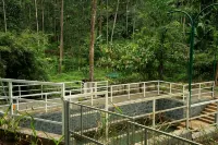 Villa La Vista Homestay