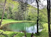 Creekside Cabin - Private 20 Acres with Pond & Creek